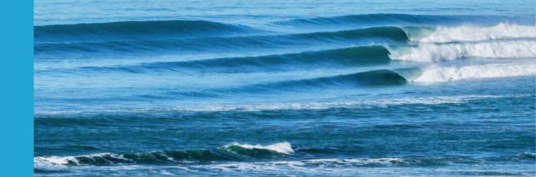 Surfer's Journal 173  en kiosques